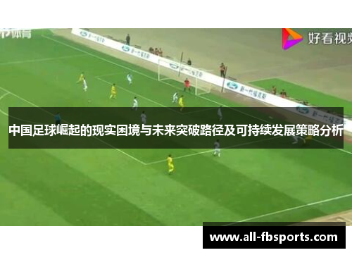 中国足球崛起的现实困境与未来突破路径及可持续发展策略分析