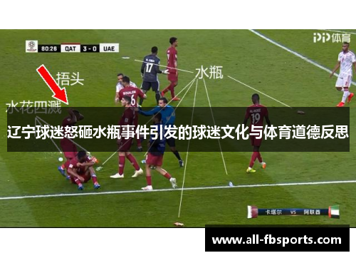辽宁球迷怒砸水瓶事件引发的球迷文化与体育道德反思